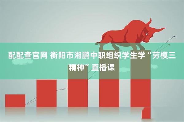 配配查官网 衡阳市湘鹏中职组织学生学“劳模三精神”直播课